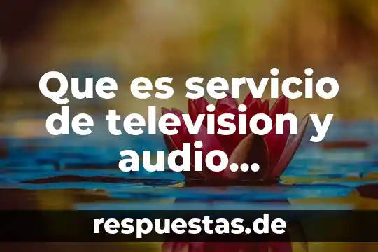 ¿Qué es el número audio? 6 Que es servicio de television y audio restringido