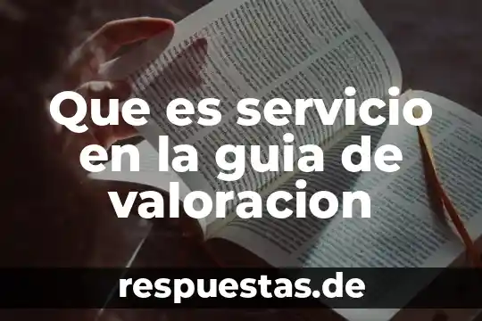 Que es una guia de planta 6 Que es servicio en la guia de valoracion