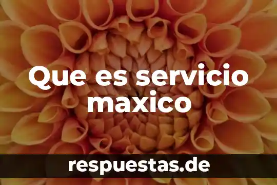 Que es el servicio pps en eeuu 3 Que es servicio maxico