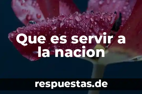 Que es mejor guante mecanico o emblema del destructor 4 Que es servir a la nacion