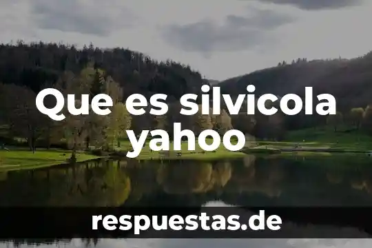 Qué es escepticismo en contabilidad 4 Que es silvicola yahoo