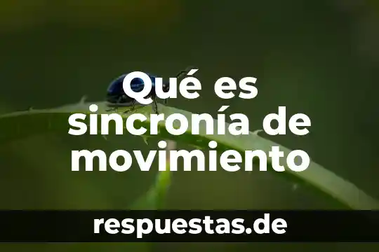 Que es un factor de un numero algebra 3 Qué es sincronía de movimiento