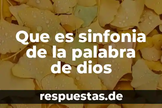 Que es el doble significado dela palabra 5 Que es sinfonia de la palabra de dios