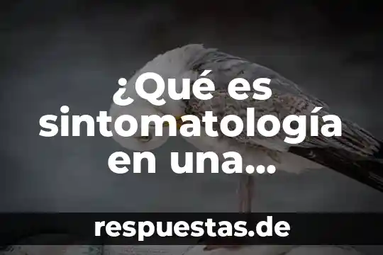 Que es config word en microcontrolador 3 ¿Qué es sintomatología en una enfermedad?
