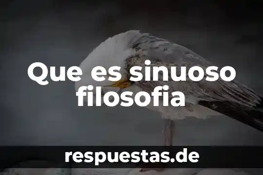 Que es certidumbre en filosofia 7 Que es sinuoso filosofia