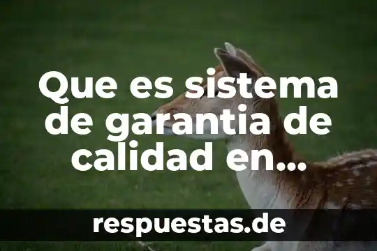 Que es el imecca instititu mexicano del control de calidad 7 Que es sistema de garantia de calidad en salud