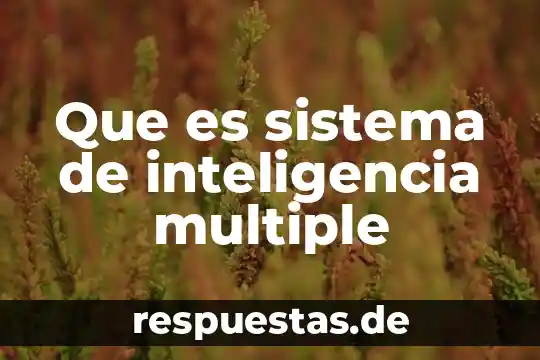 Que es sistema de inteligencia multiple