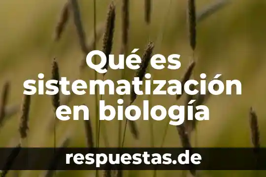 Qué es sistematización de la filosofía de la educación 3 Qué es sistematización en biología