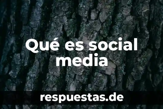 Que es la media en historia libros 6 Qué es social media