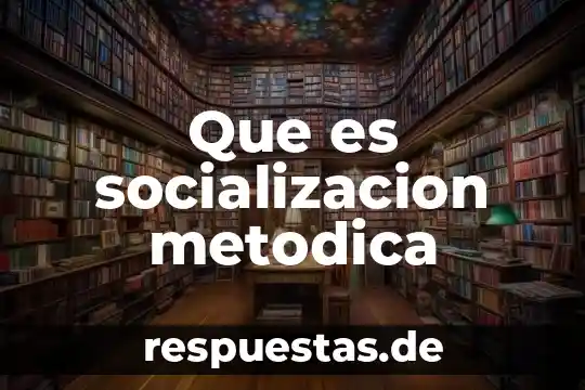 Que es el ser social y sus proceso de socialización 3 Que es socializacion metodica