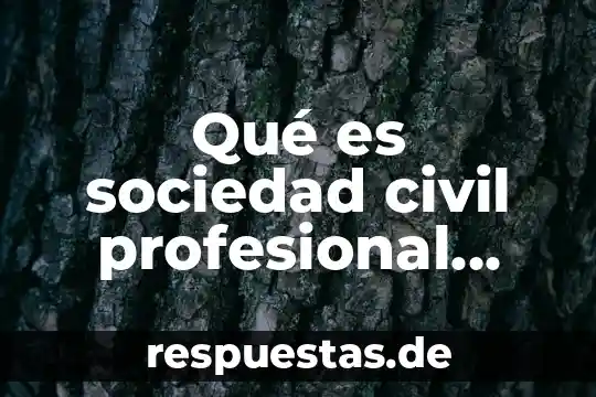 Qué es ética profesional en filosofía 5 Qué es sociedad civil profesional concepto