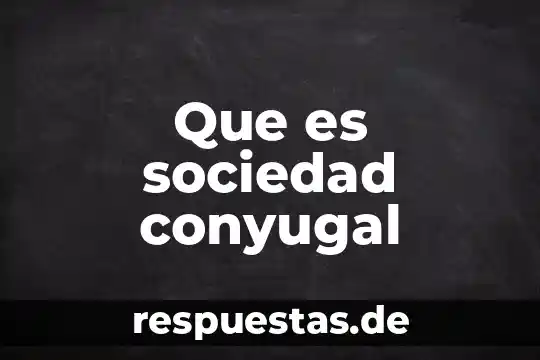 Que es la codificación en sociedad 6 Que es sociedad conyugal