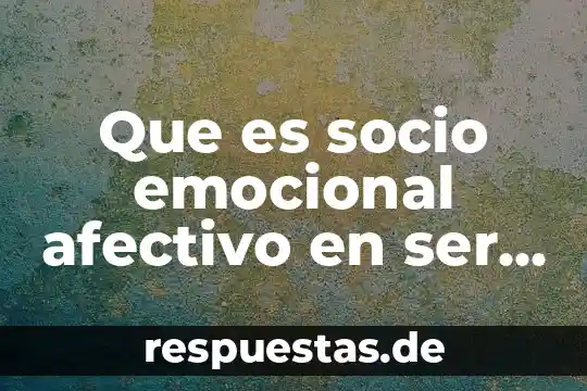 Qué es la coctelería de autor 4 Que es socio emocional afectivo en ser humano