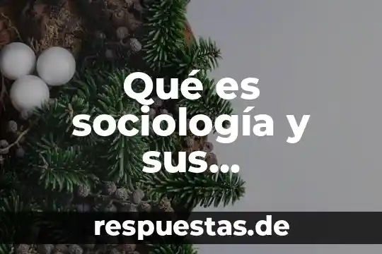 Que es el relato historico y sus caracteristicas 8 Qu茅 es sociolog铆a y sus caracter铆sticas