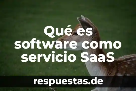 Escorts que es servicio griego 6 Qué es software como servicio SaaS