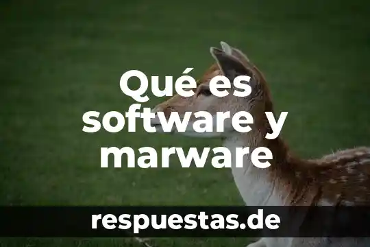Qué es software y marware