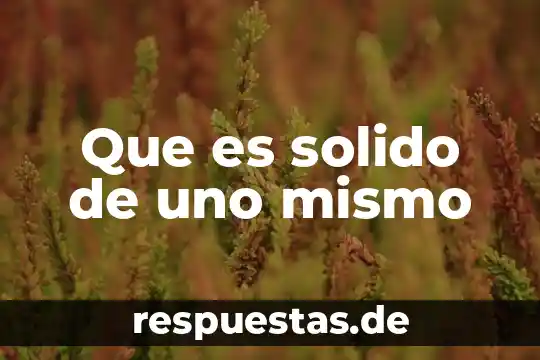 Que es el conocimiento solido 5 Que es solido de uno mismo