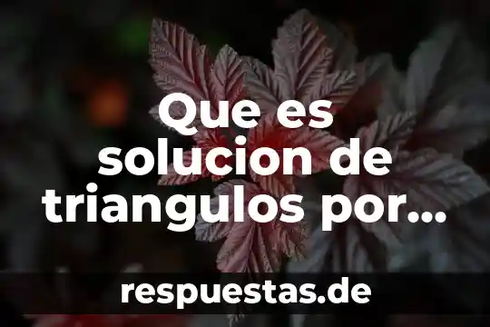 Que es solucion de triangulos por razones trigonometricas ejemplos