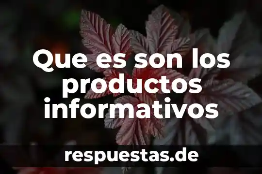 Que es cuestionarios para mejora de productos 4 Que es son los productos informativos