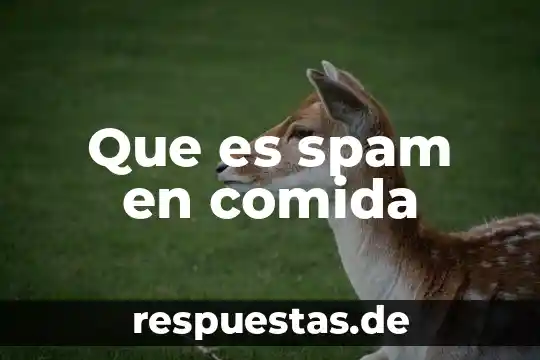 Nombre de la comida que es papa con queso gratinado 8 Que es spam en comida