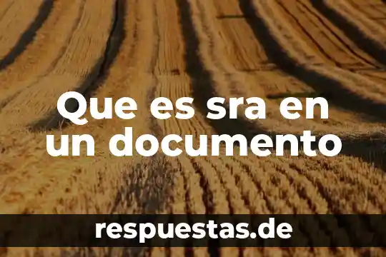 Que es el nombre del documento electronico 3 Que es sra en un documento