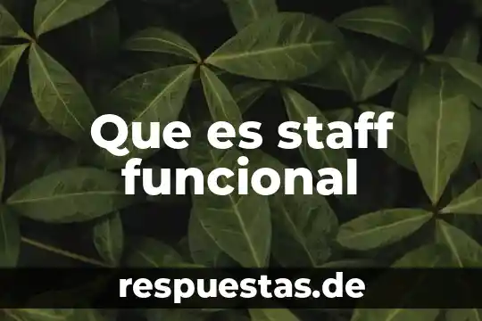 Qué es la programación lógica y funcional 6 Que es staff funcional