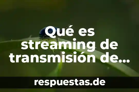 Que es un acervo de datos 3 Qué es streaming de transmisión de datos
