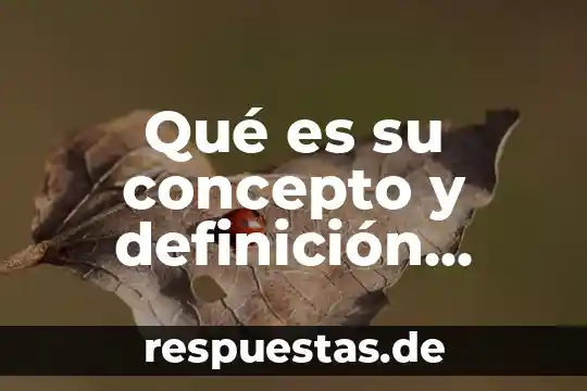 Que es la formacion referencial representativa o informativa 4 Qué es su concepto y definición función referencial