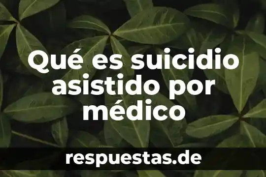 Que es un grafico emplea diseño asistido por computadora 7 Qué es suicidio asistido por médico