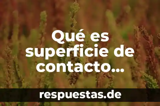 Que es la cultura turistica para personal de contacto 4 Qué es superficie de contacto arquitectura