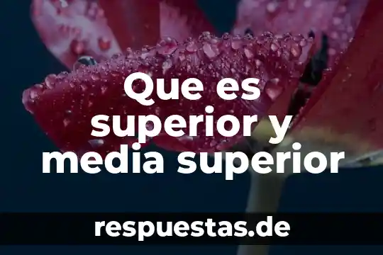 Que es nivel basico medio superior y superior 6 Que es superior y media superior
