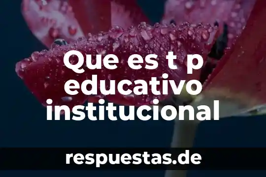 William T. Fine o qué es 3 Que es t p educativo institucional
