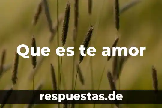 Que es tipos de movimiento exsistenfisica 7 Que es te amor