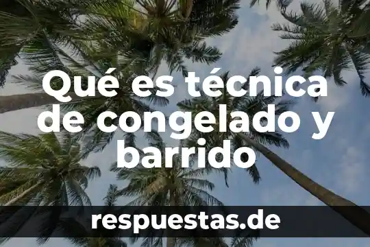 Barrido mecanico que es 4 Qué es técnica de congelado y barrido