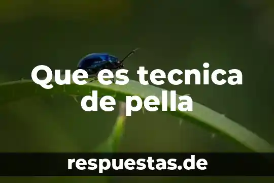Que es tecnica de pella