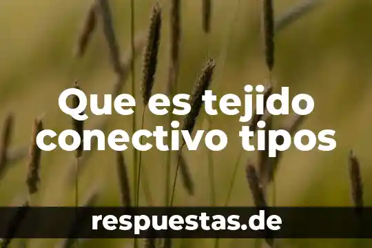 Que es soldar y tipos de soldadura 7 Que es tejido conectivo tipos