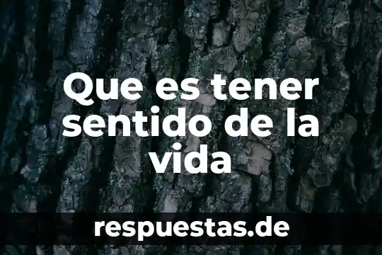 Vida virtual que es 7 Que es tener sentido de la vida