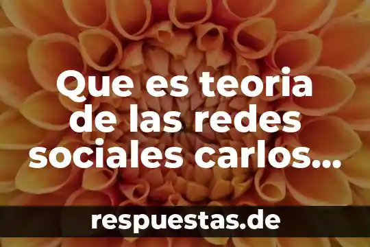 Qué es la administración de redes concepto 4 Que es teoria de las redes sociales carlos lozares
