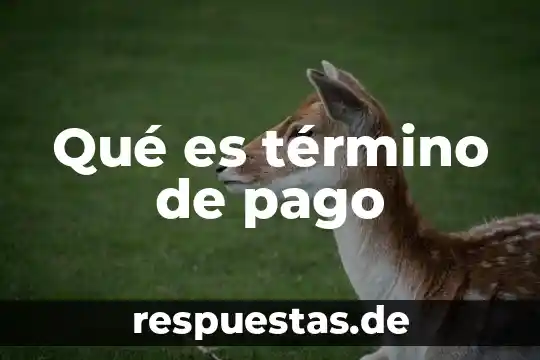 Qué es término de pago