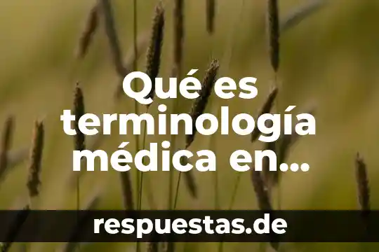 Qué es terminología médica en enfermeria