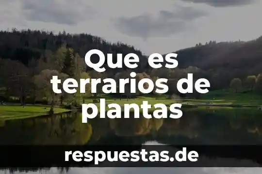 Nombres de plantas medicinales y que es lo que cura 8 Que es terrarios de plantas