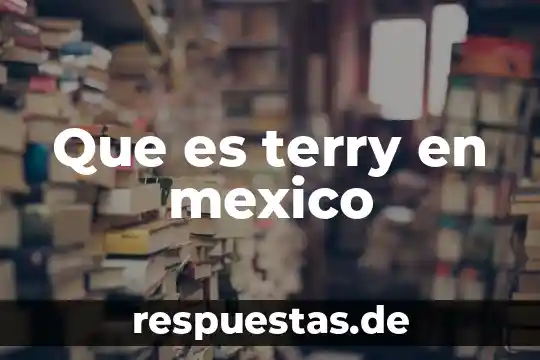 Que es la creacion de la cruz roja de mexico 5 Que es terry en mexico