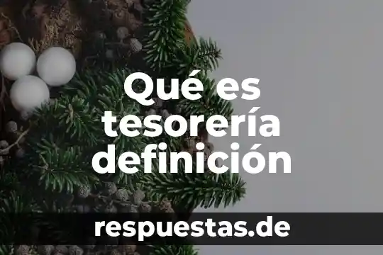 Que es no reembolsable definicion 5 Qué es tesorería definición