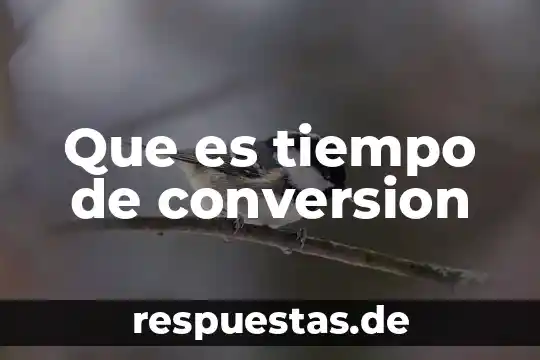 Que es tiempo de conversion