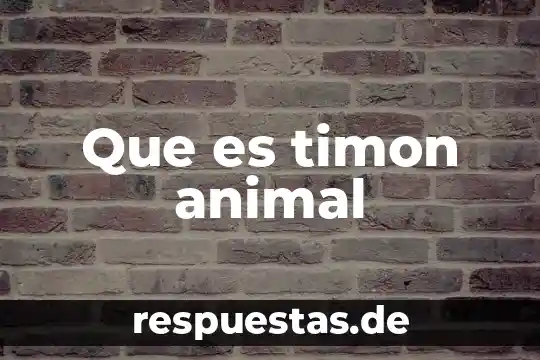 Por que el hombre se dice que es animal 4 Que es timon animal