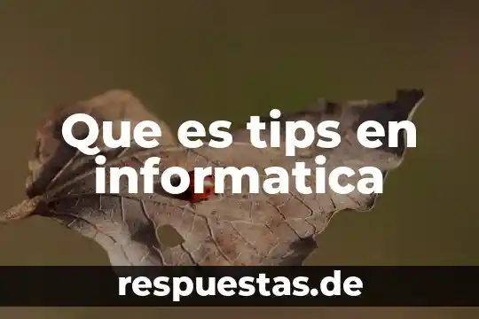 ¿Qué es la informática jurídica ehcénique? 5 Que es tips en informatica