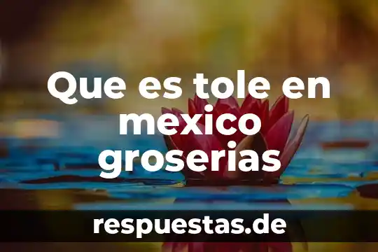 Que es la creacion de la cruz roja de mexico 4 Que es tole en mexico groserias