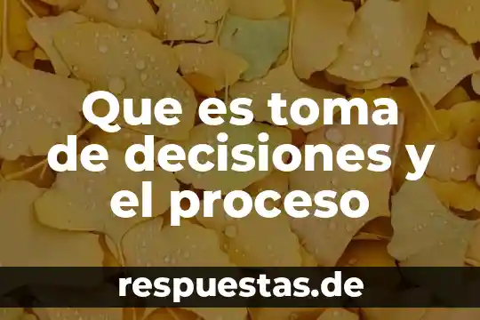 Qué es evaluación y toma de decisiones 7 Que es toma de decisiones y el proceso