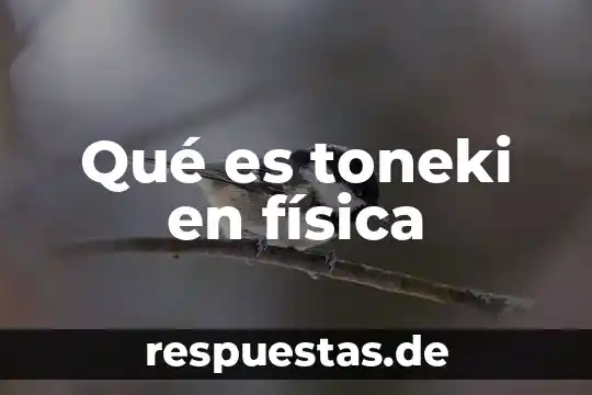 Que es significa la f en fisica 8 Qué es toneki en física