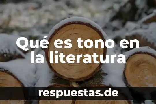 Que es intrumento musical maraca 7 Qué es tono en la literatura